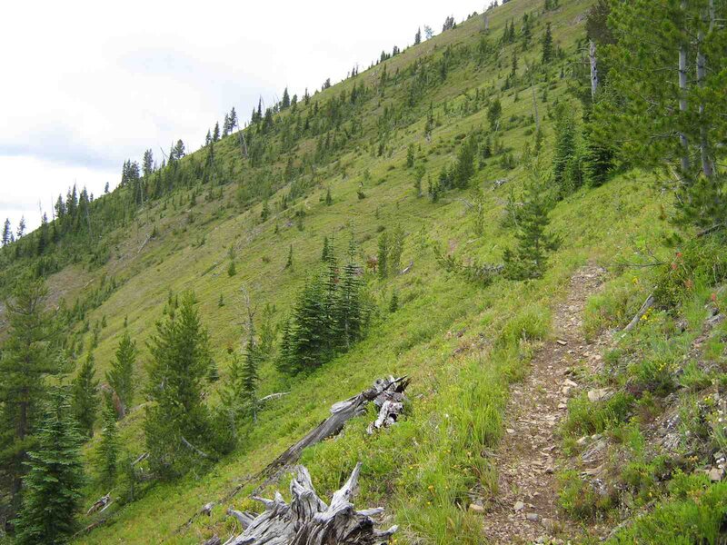 Hiking Trail on Mountainside