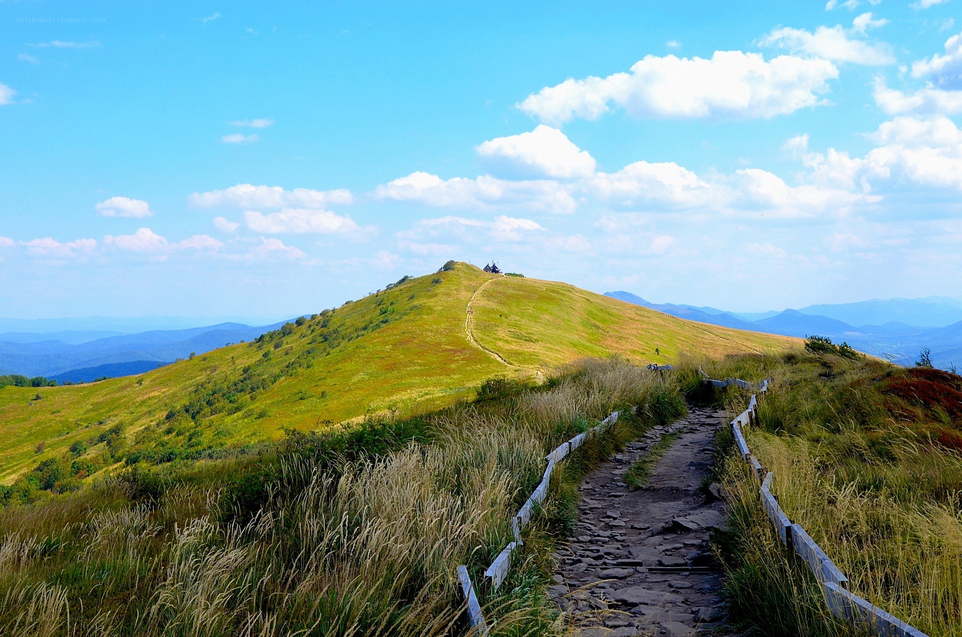 Hiking trail to a mountain summit