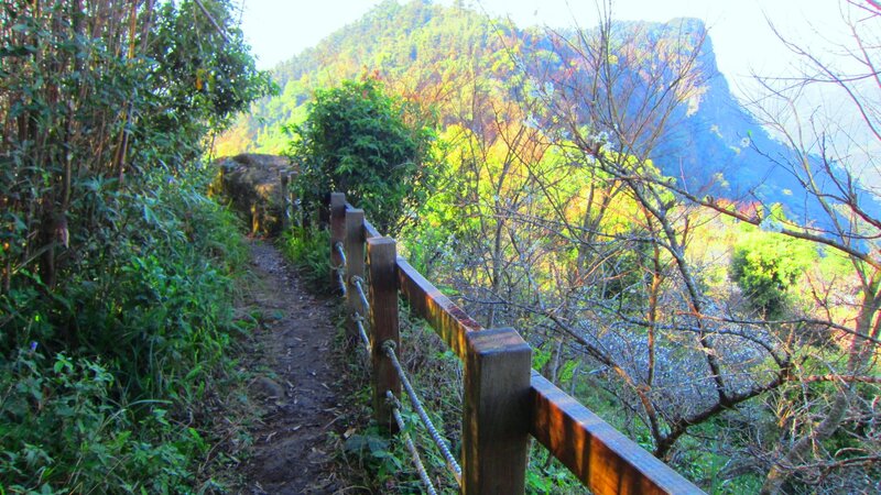 Hiking Trail with Wooden Railing