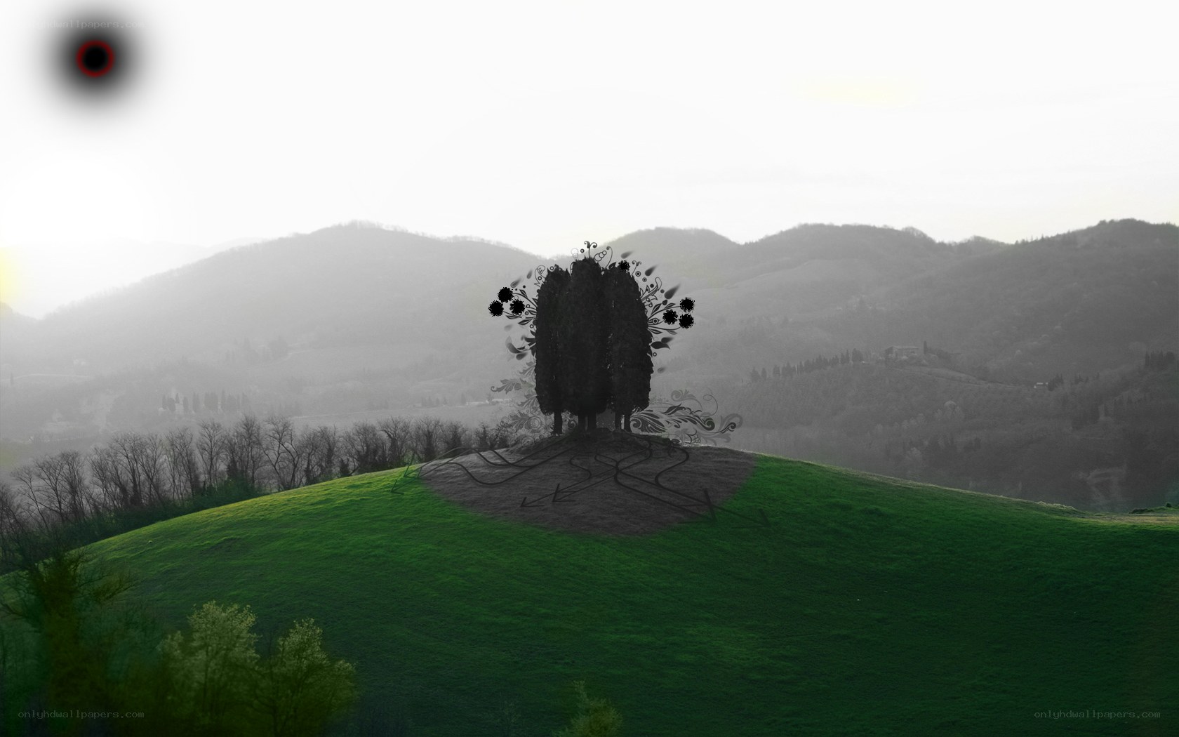 Hill with decorative tree
