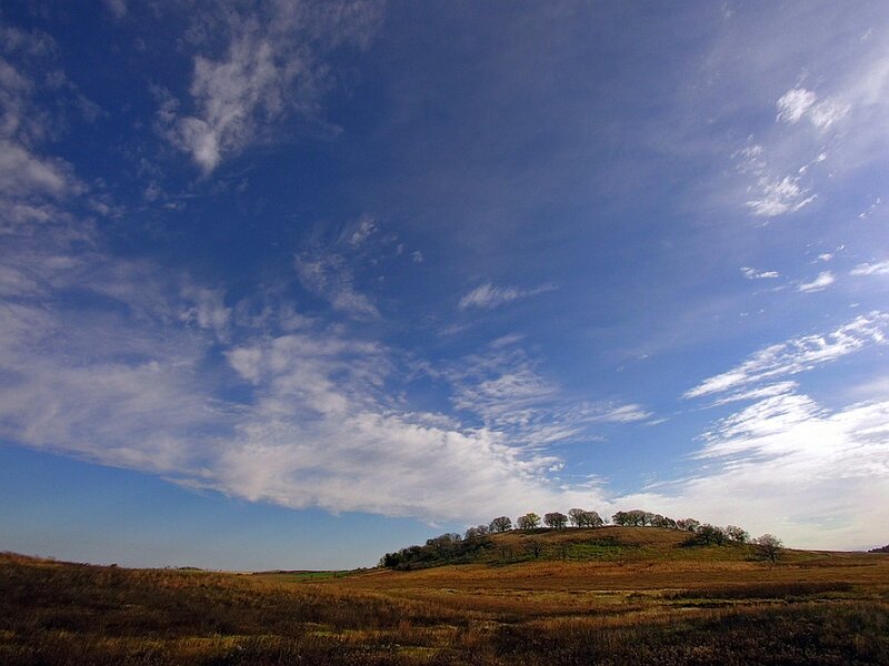 Hill with Trees