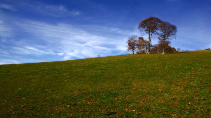 Hill with trees under blue sky