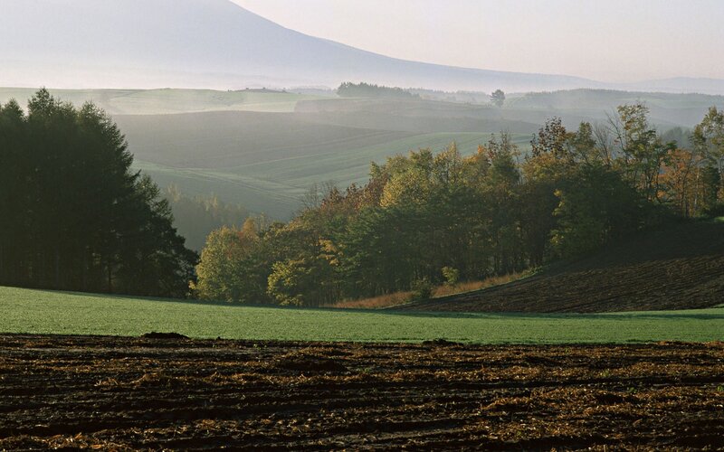 Hills and mountains at dawn