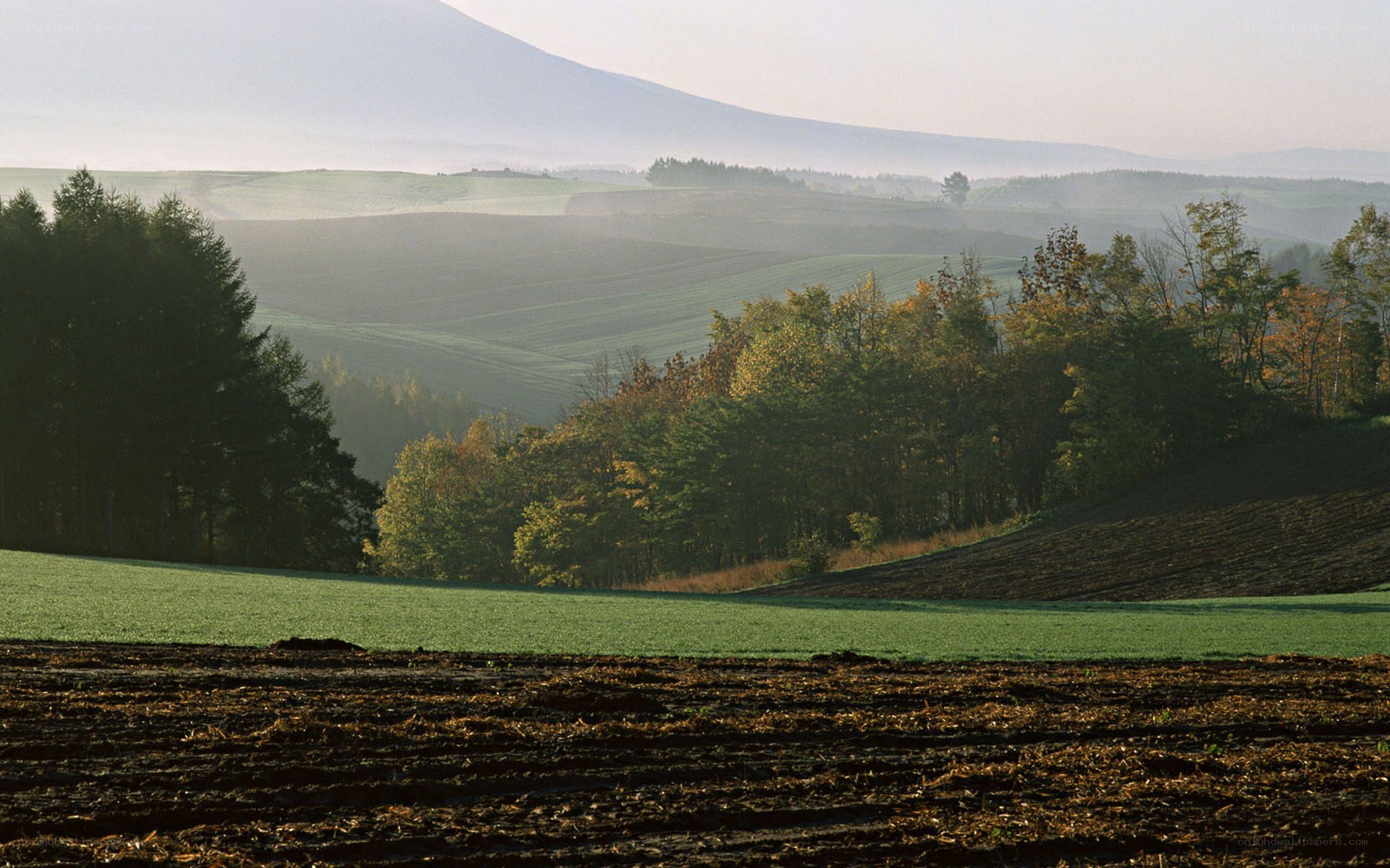 Hills and mountains at dawn