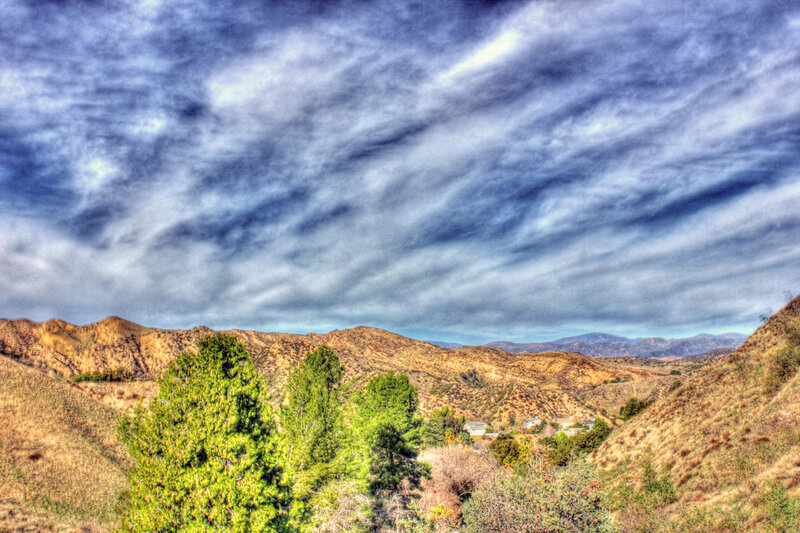 Hills and Trees Landscape
