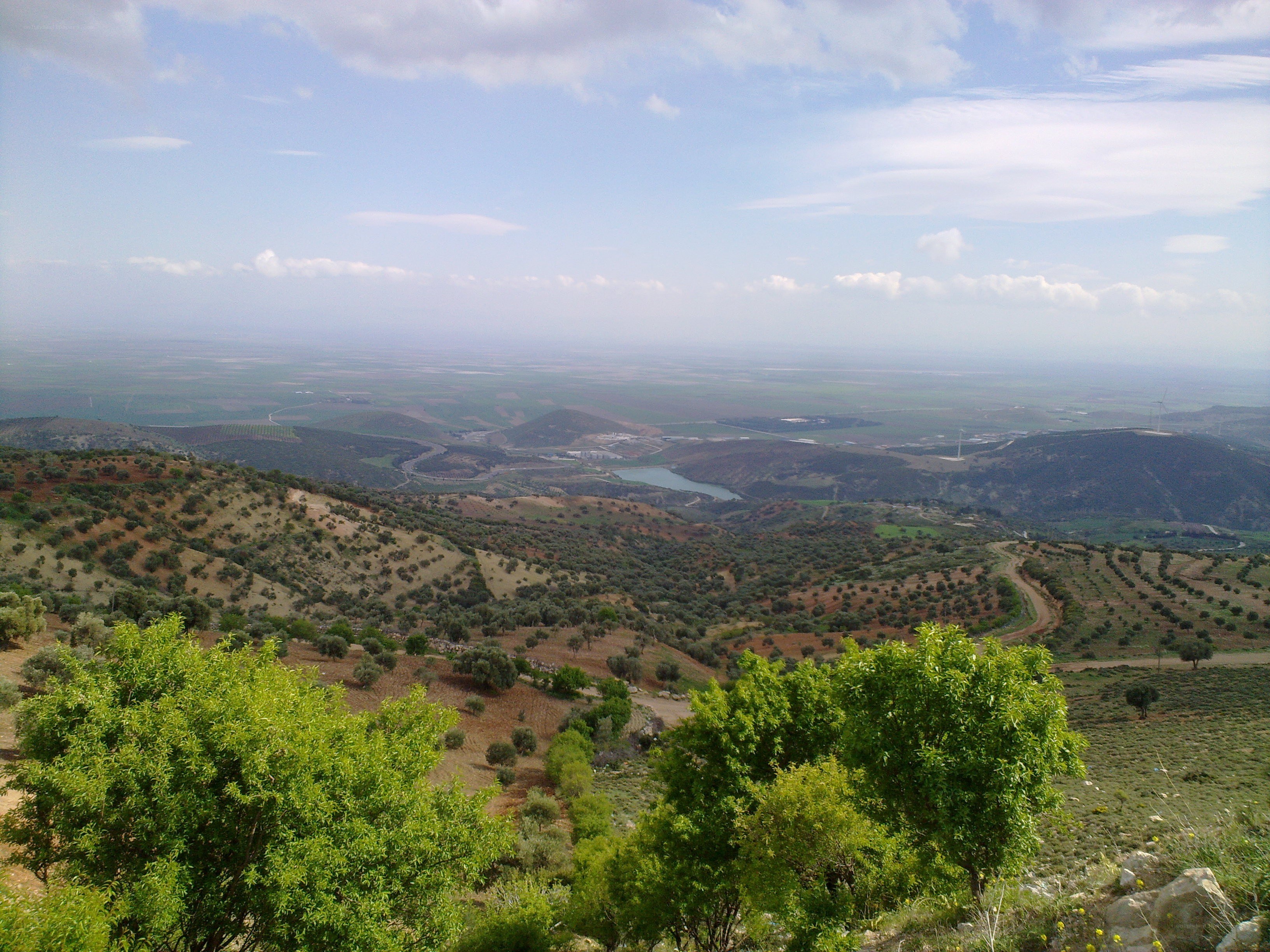 Hills and valley landscape
