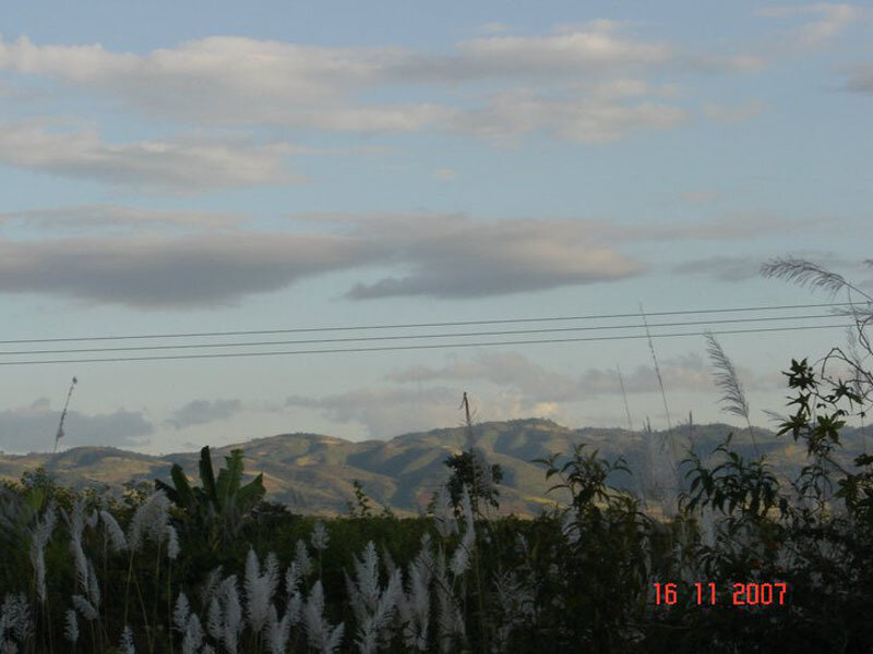 Hills and white grasses
