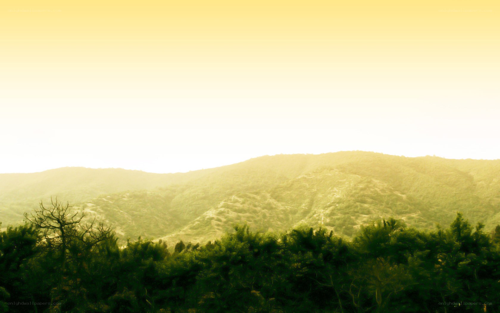 hills at golden hour