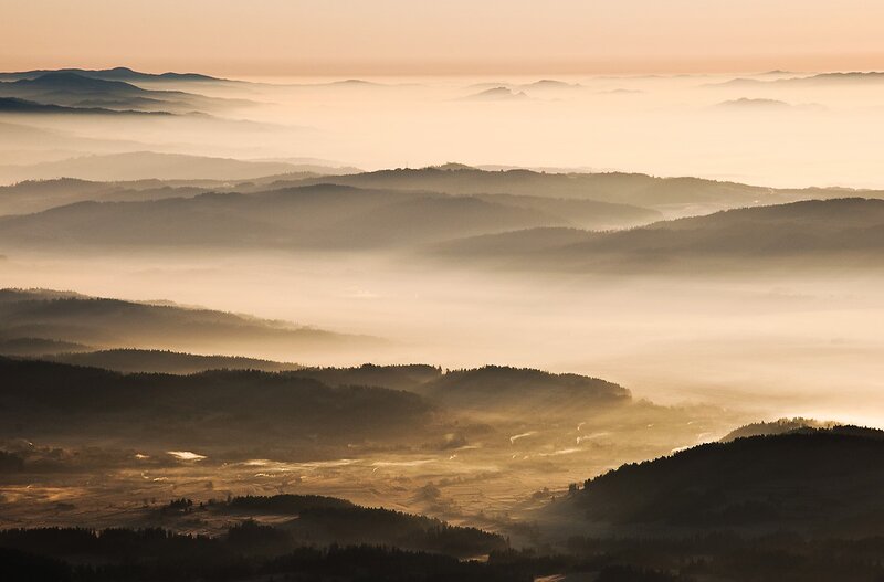 Hills Covered in Fog — Brown, Serene