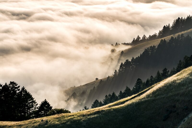 Hills Covered in Fog — Green