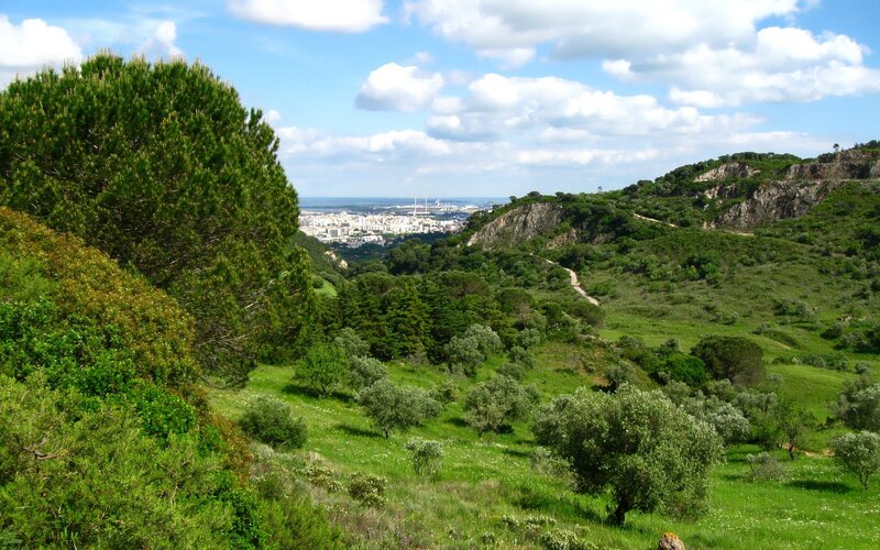 Hills overlooking a city