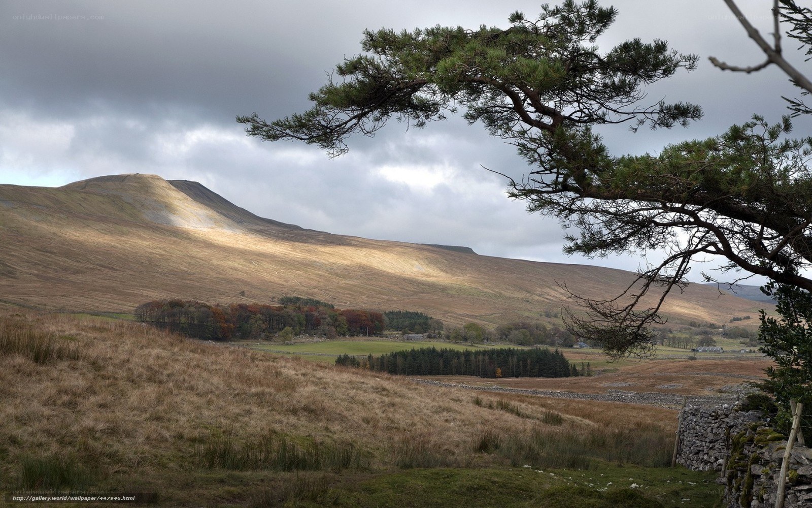 Hills under cloudy sky