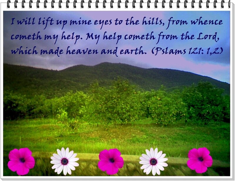 Hills with Flowers