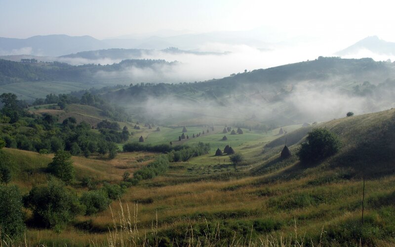 Hills with Hay Bales