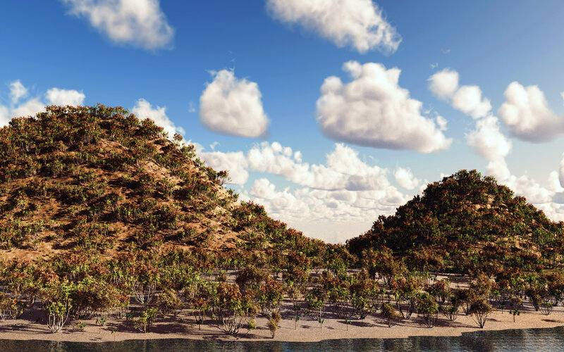 Hills with Shrubs