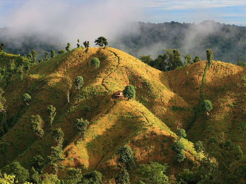 Hillside Cabin in Fog