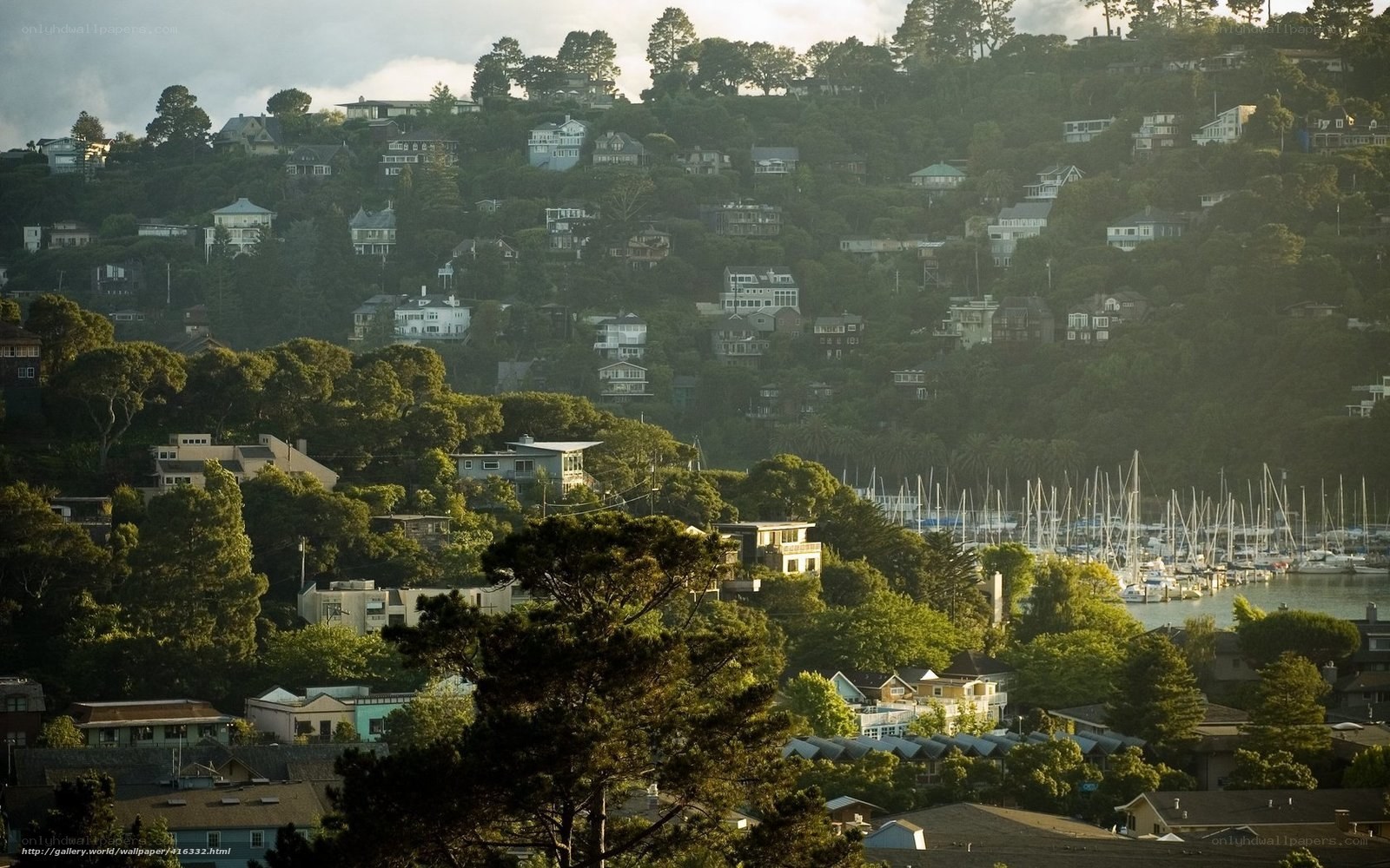 Hillside homes overlooking a marina