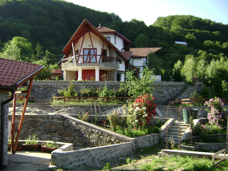 Hillside house with terraced garden