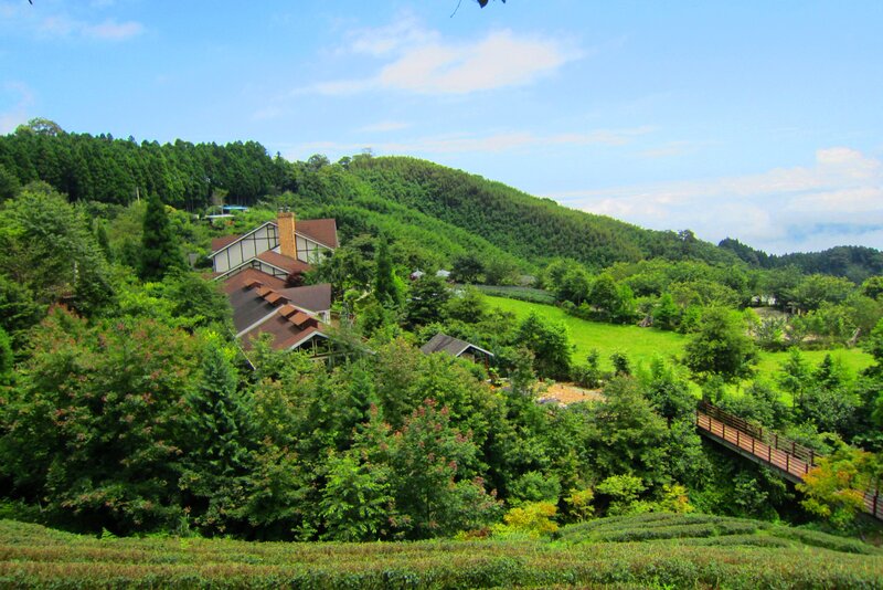Hillside Houses and Tea Fields