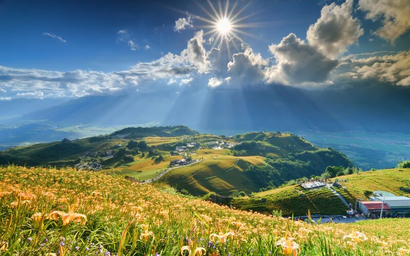 Hillside of Orange Flowers — Blue, Dramatic, Afternoon, Photograph