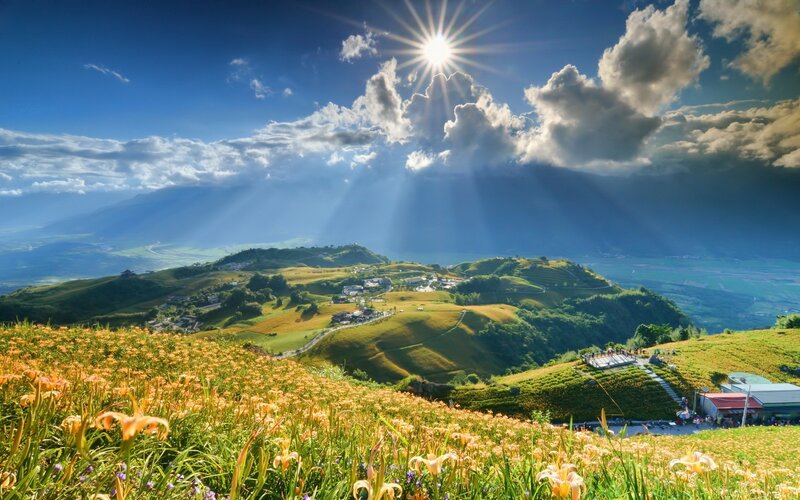 Hillside of Orange Flowers — Blue, Dramatic