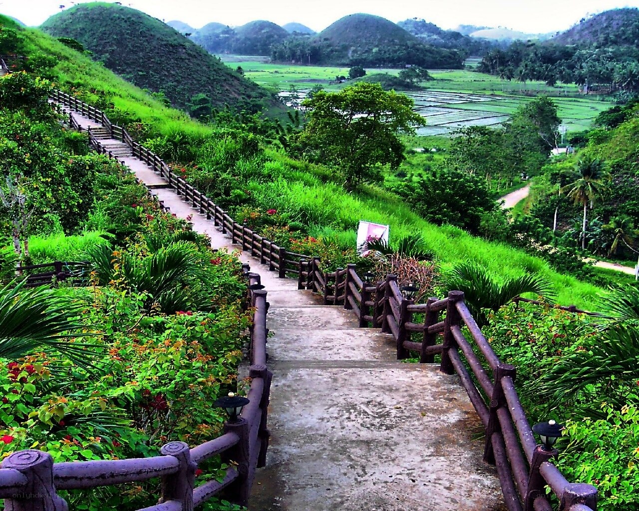 Hillside path with green hills