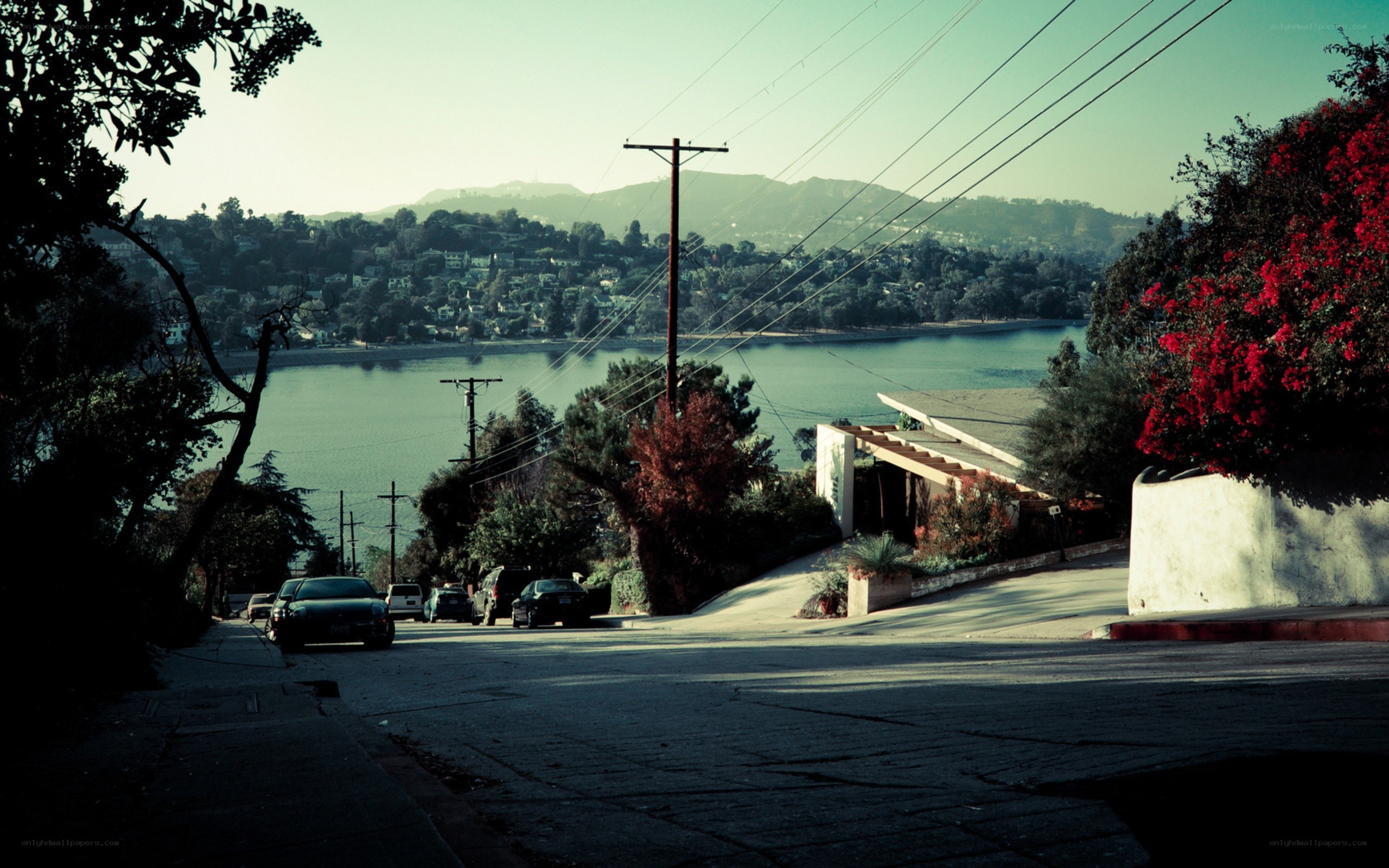 Hillside street with lake view