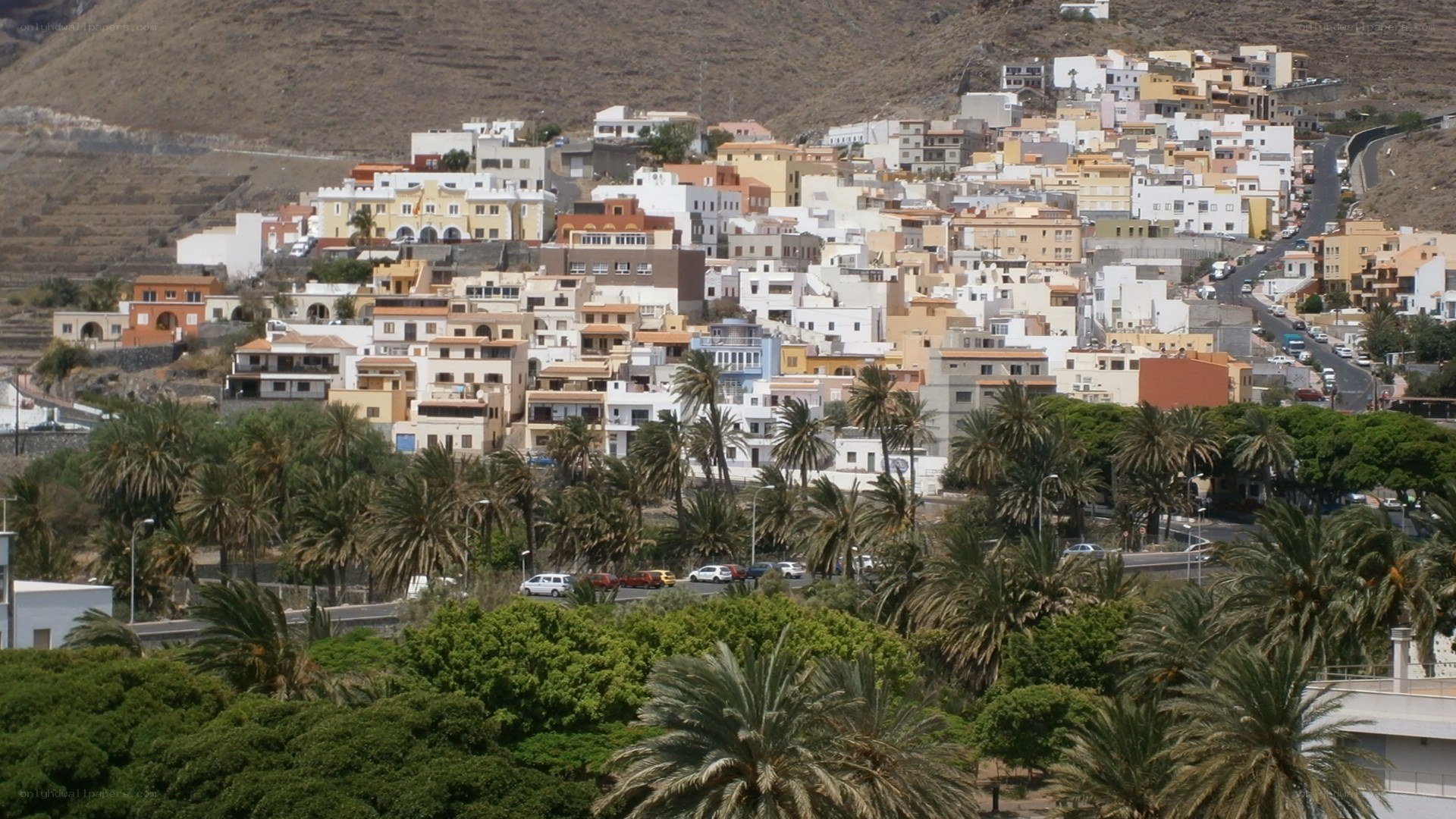 Hillside town with palm trees