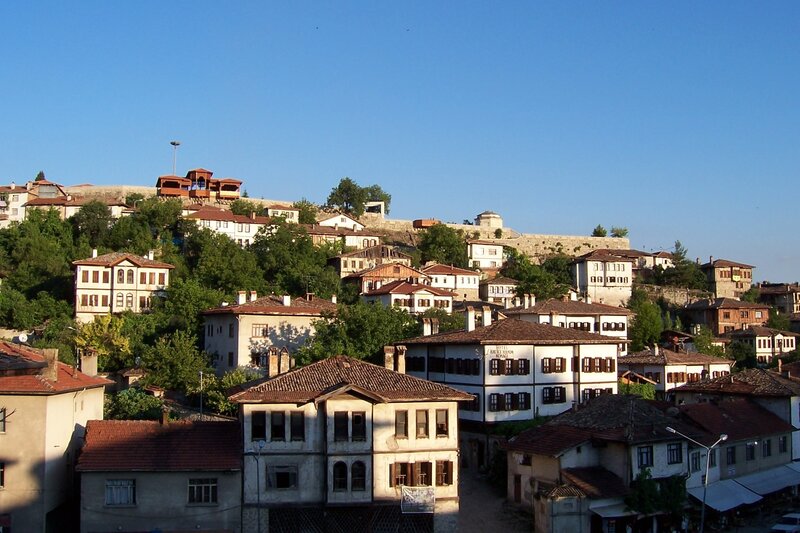 Hillside town with traditional houses
