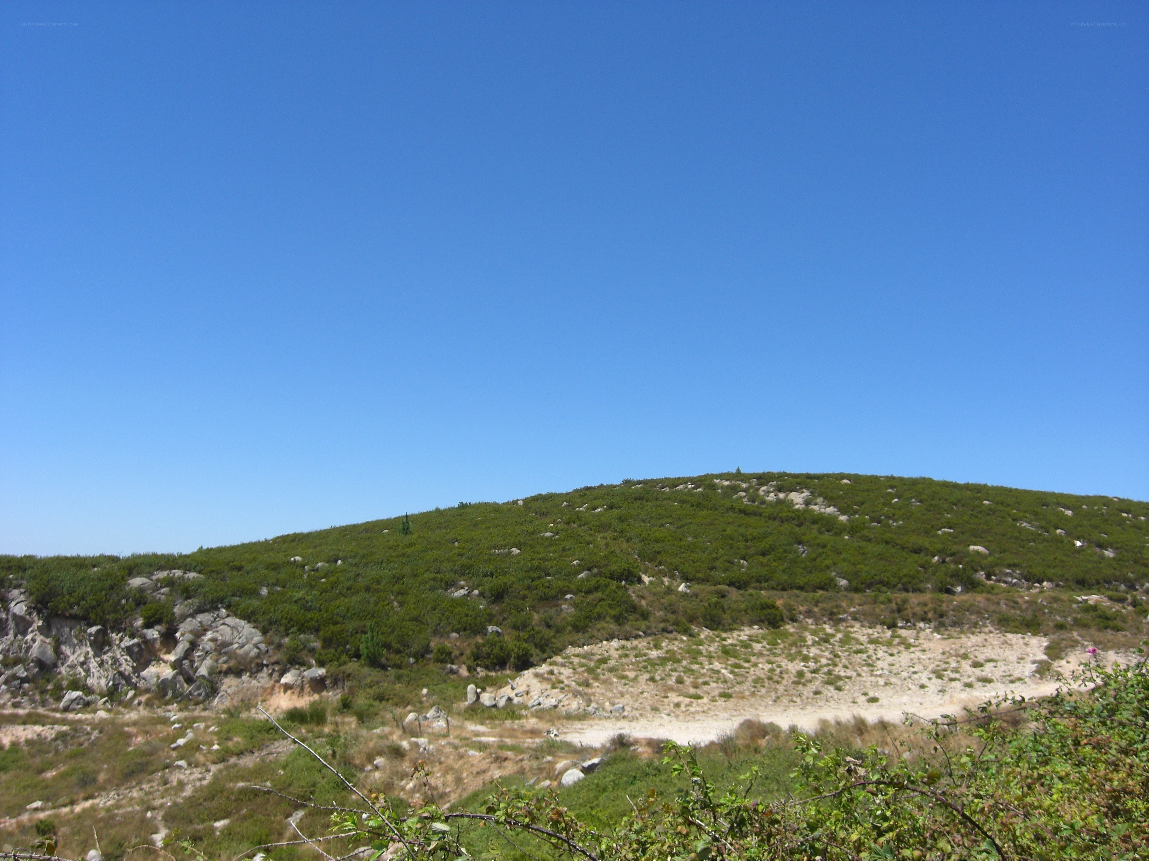 Hillside under clear blue sky