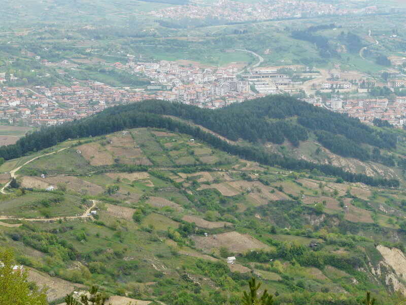 Hillside Village Landscape