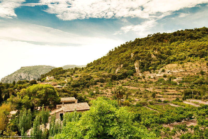 Hillside village with terraced fields