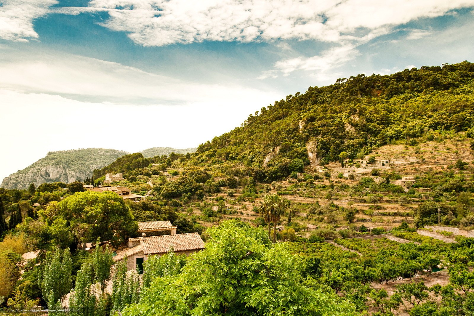 Hillside village with terraced fields