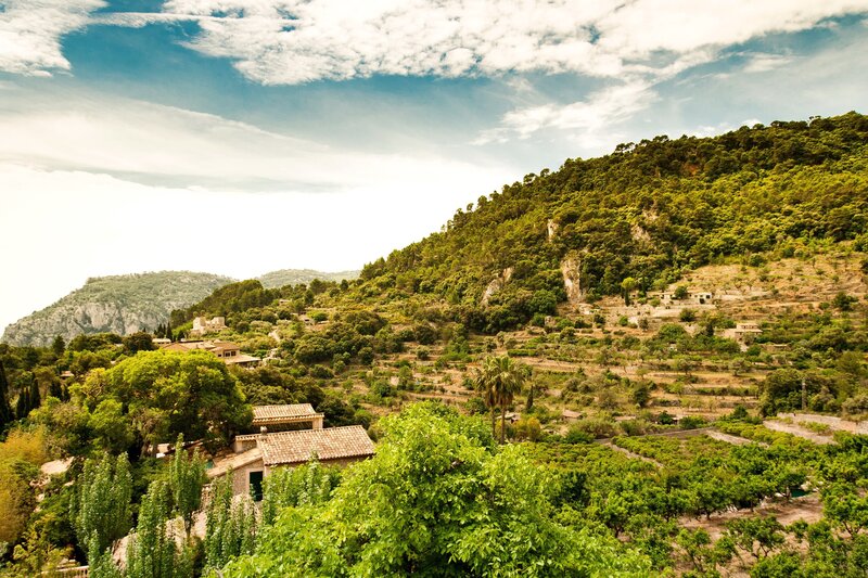 Hillside village with terraced gardens