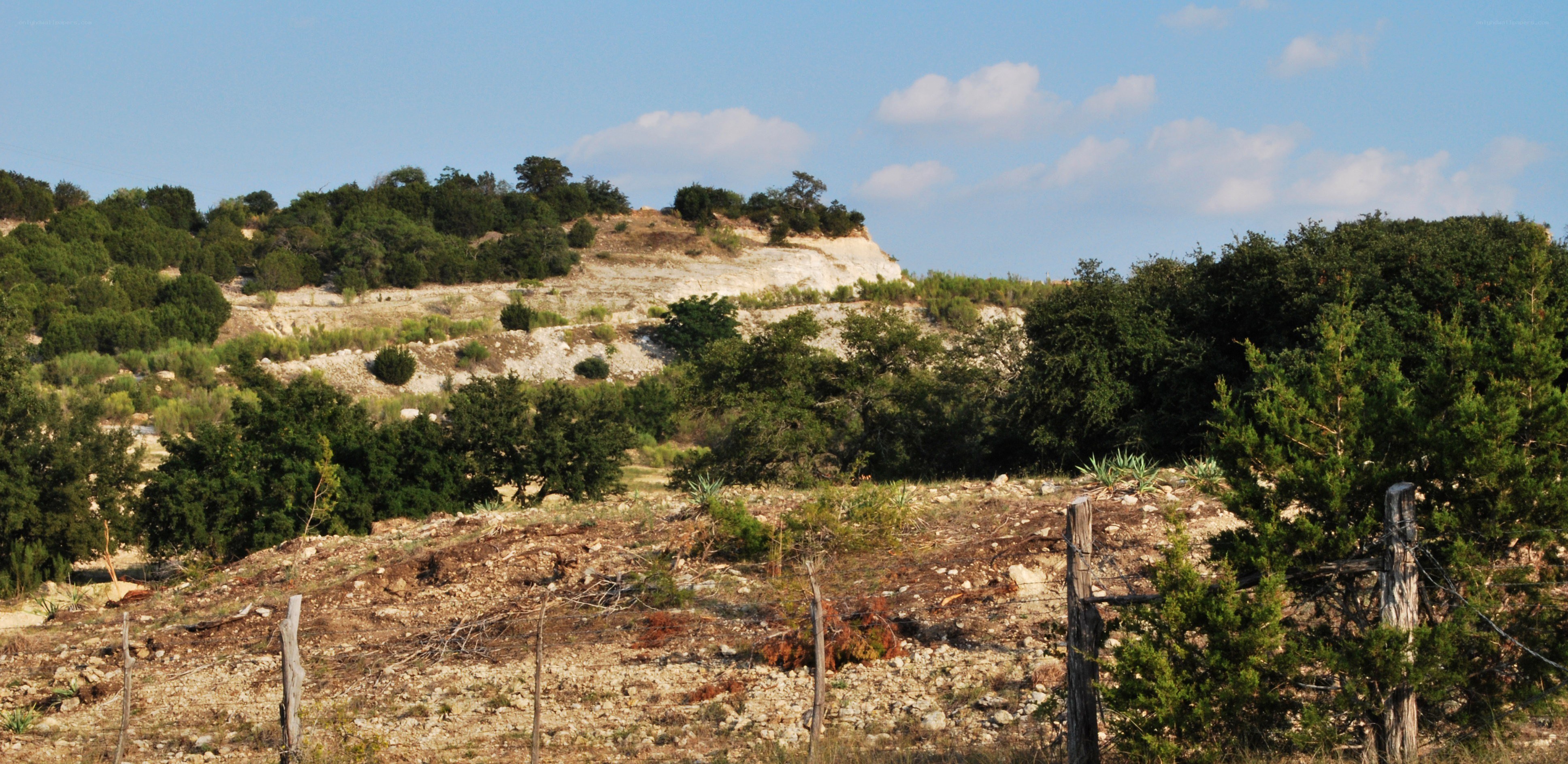Hillside with trees and fence
