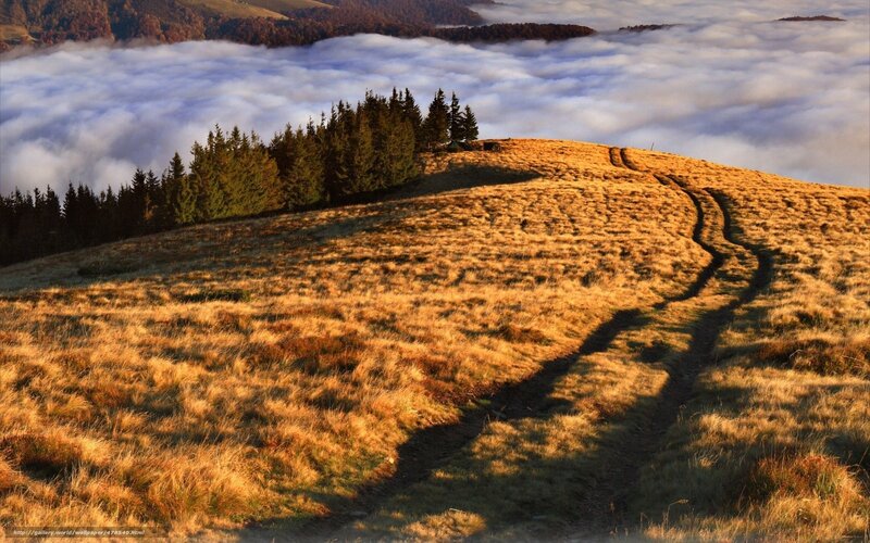 Hilltop path above clouds