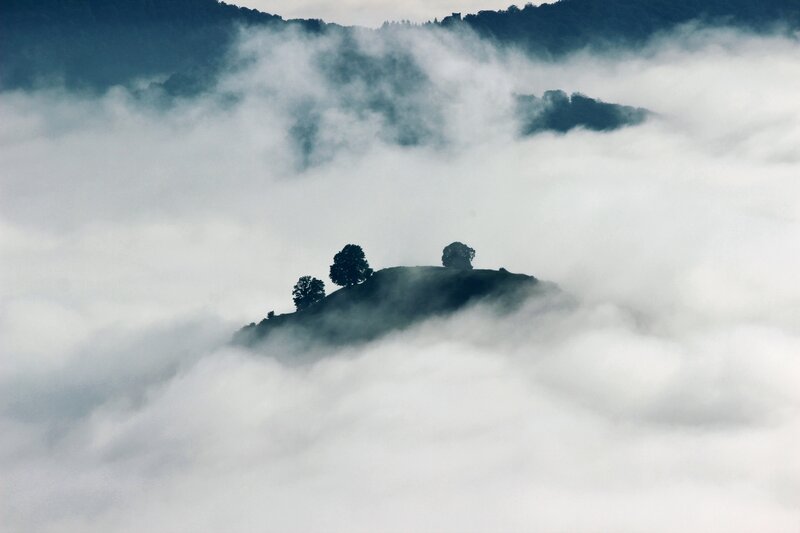 Hilltop with Trees