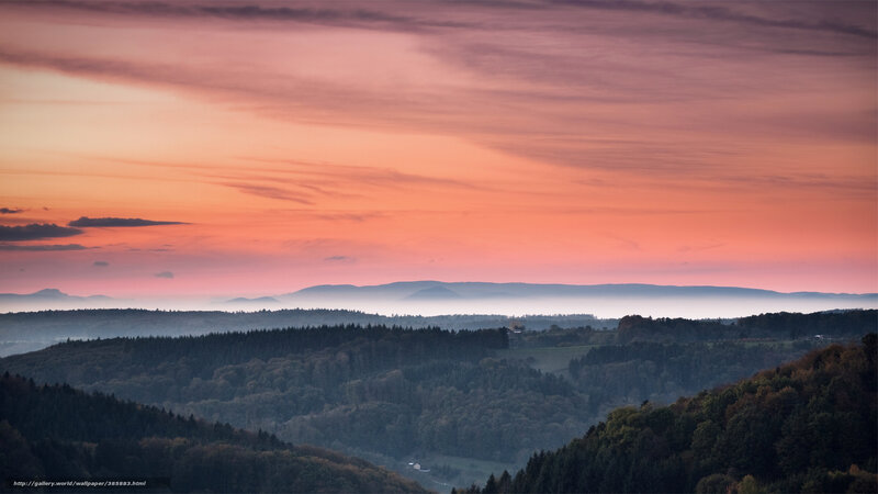 Hilly Forest Landscape