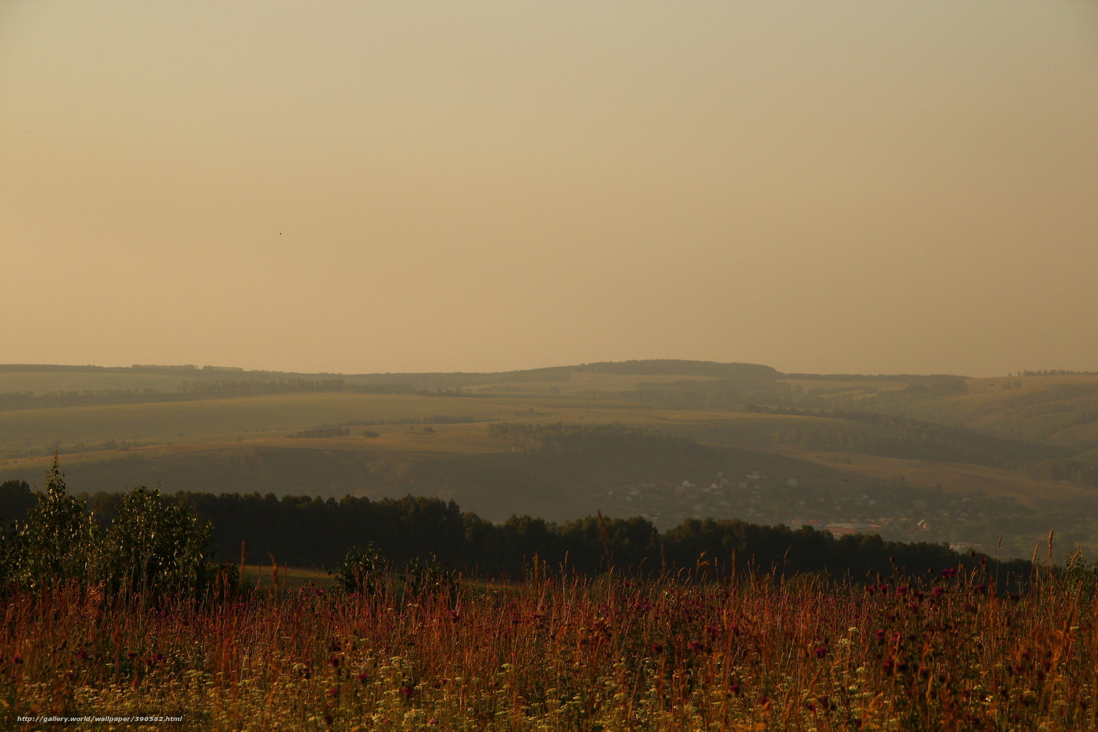 Hilly landscape at sunset