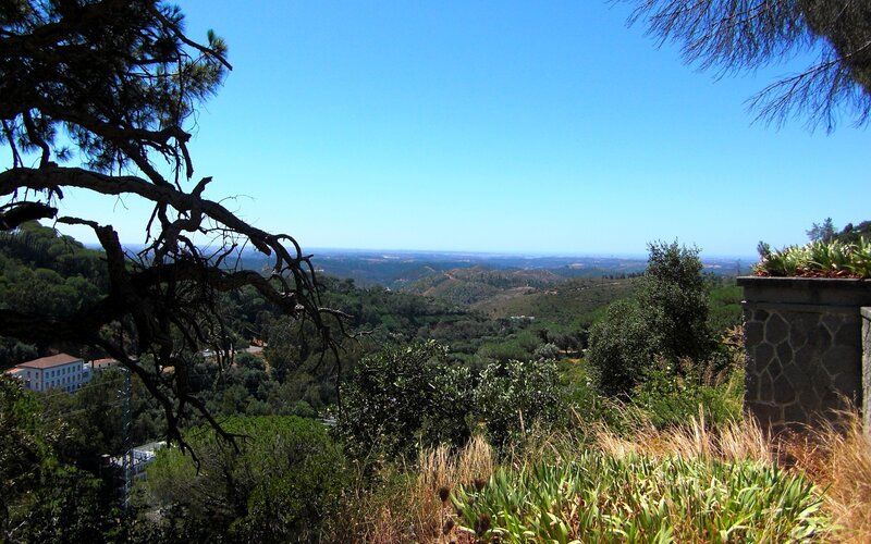 Hilly Landscape View