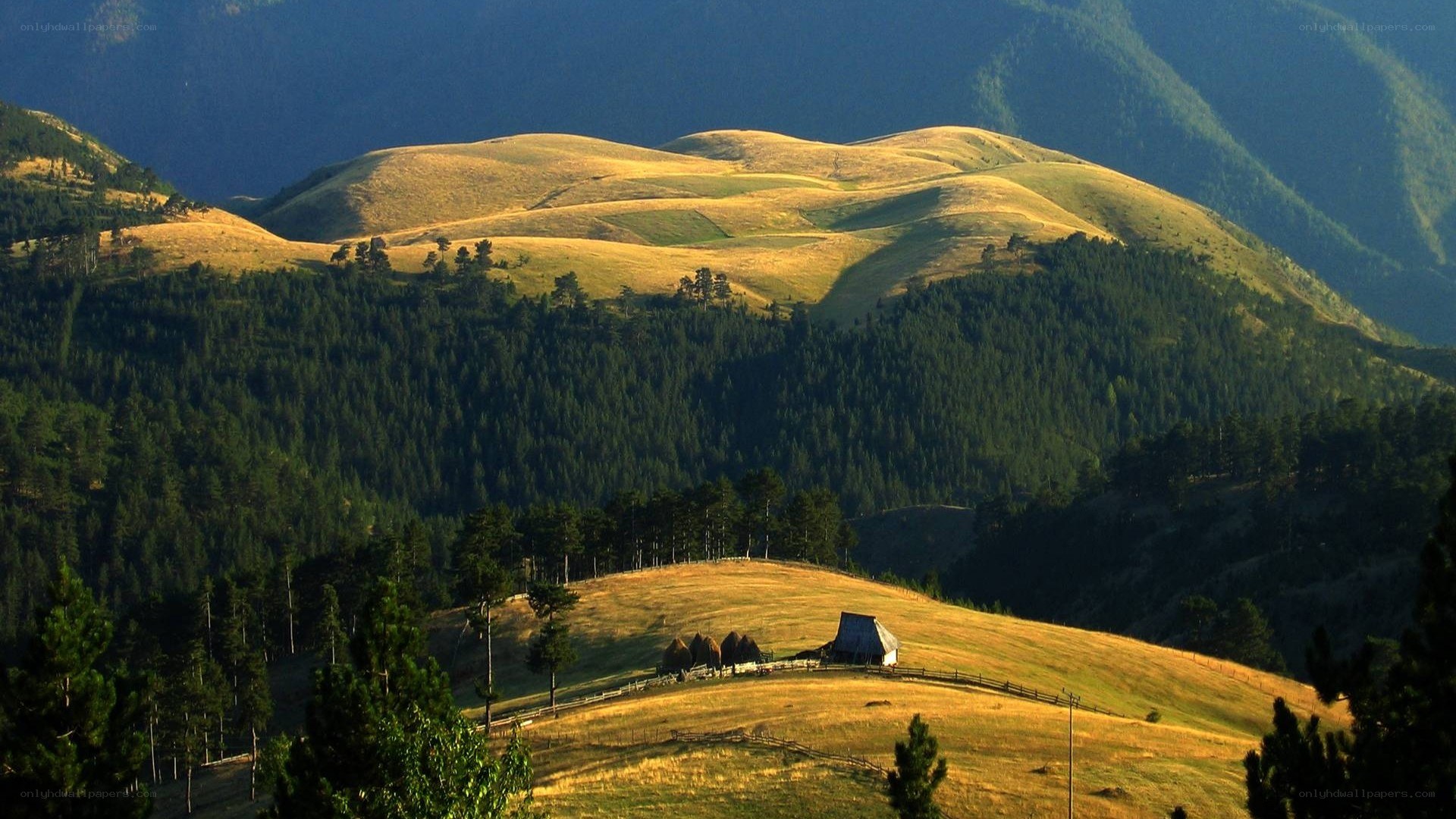Hilly landscape with farmhouse