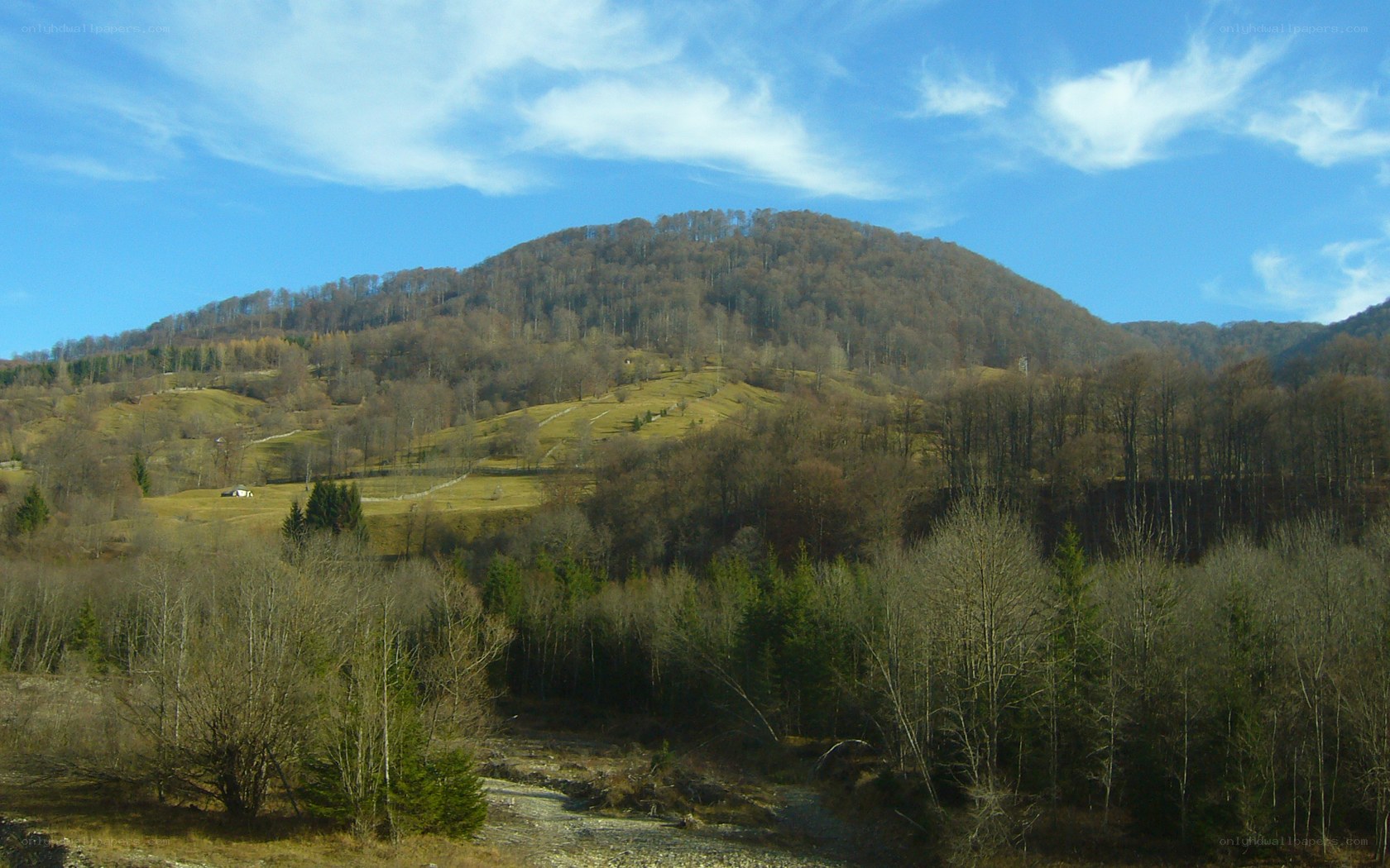 Hilly landscape with forested hills