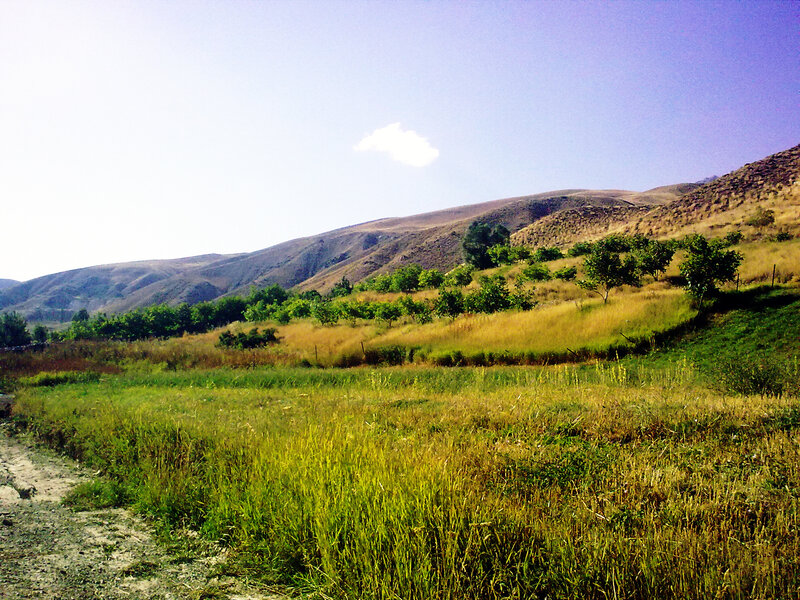 Hilly landscape with green fields
