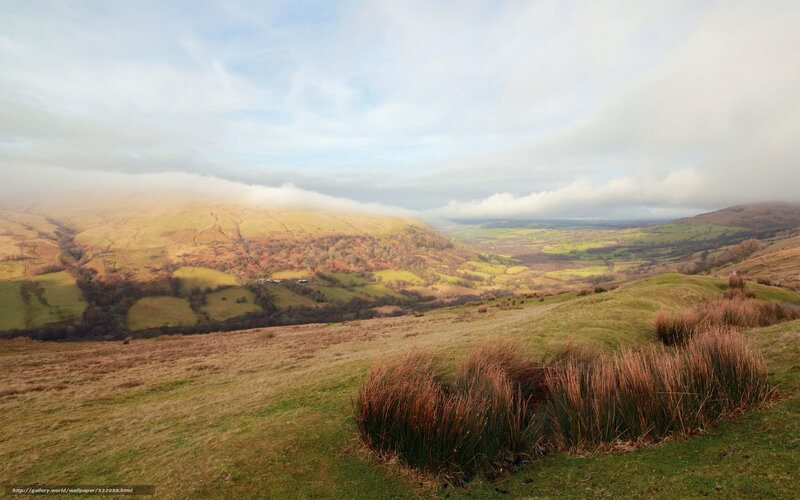 Hilly landscape with mist