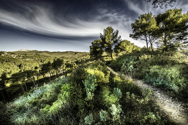 Hilly Landscape with Path