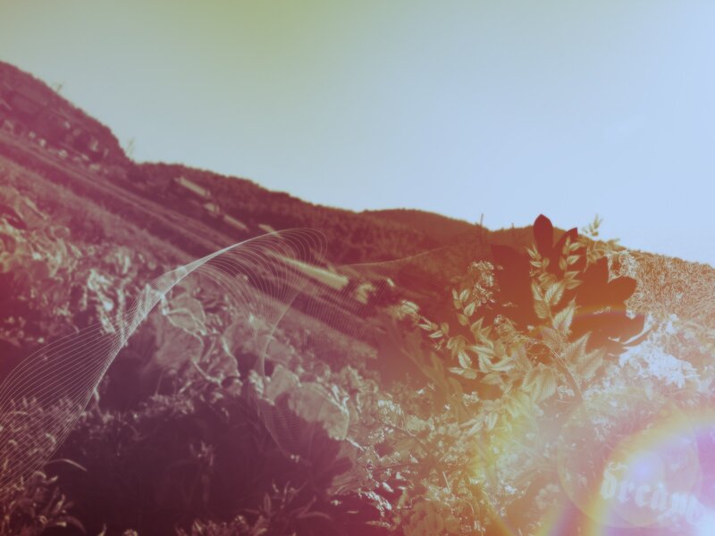 Hilly Landscape with Plants