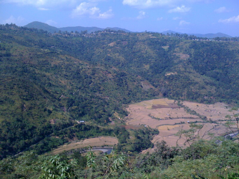 Hilly landscape with terraced fields