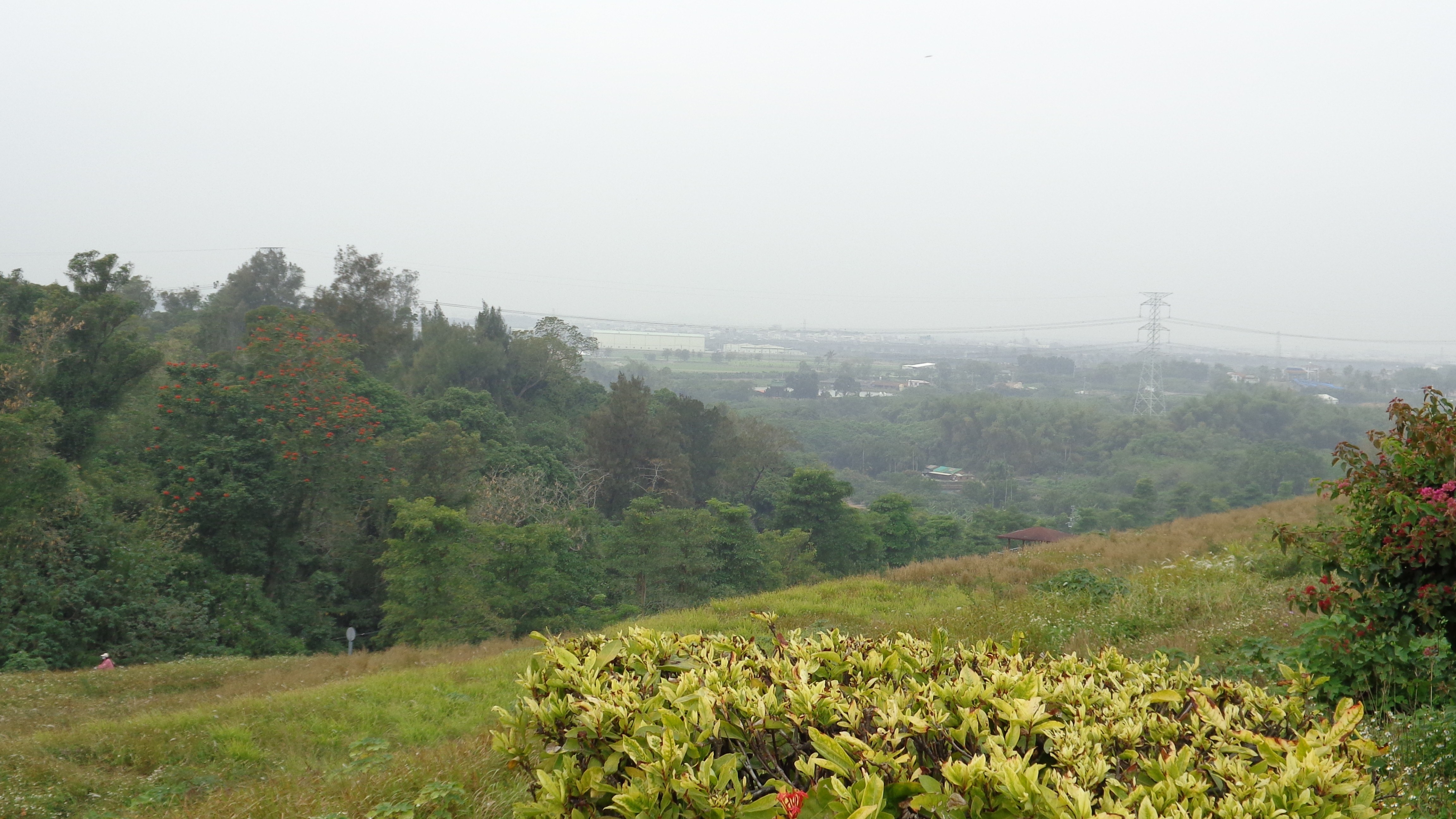 Hilly landscape with trees and power lines
