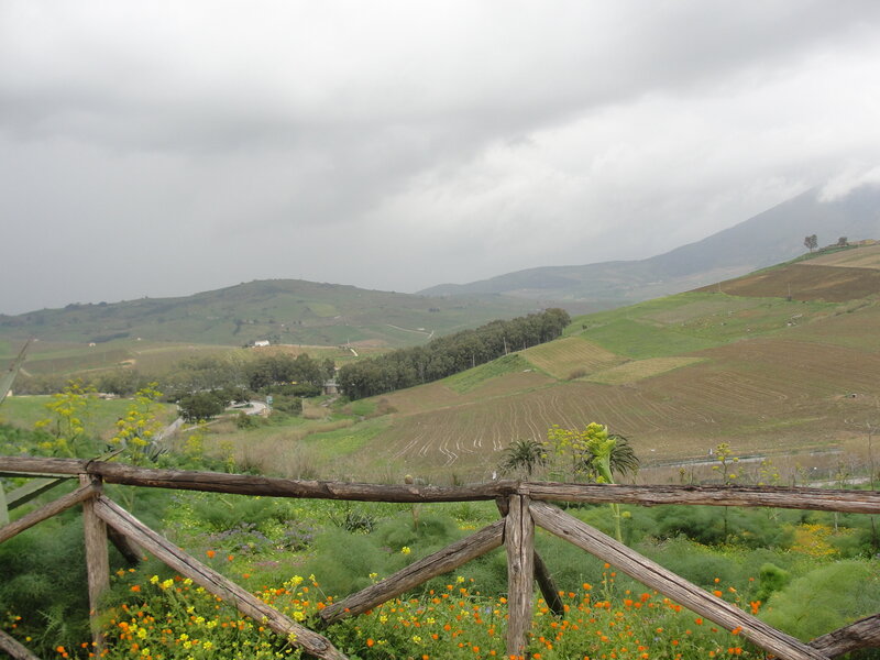 Hilly landscape with wooden fence