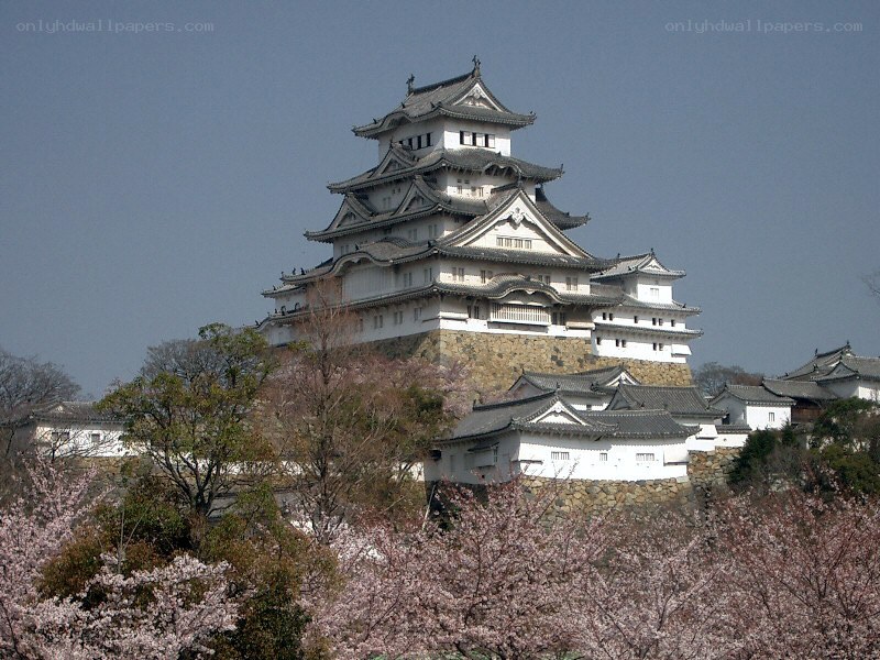 Himeji Castle in spring